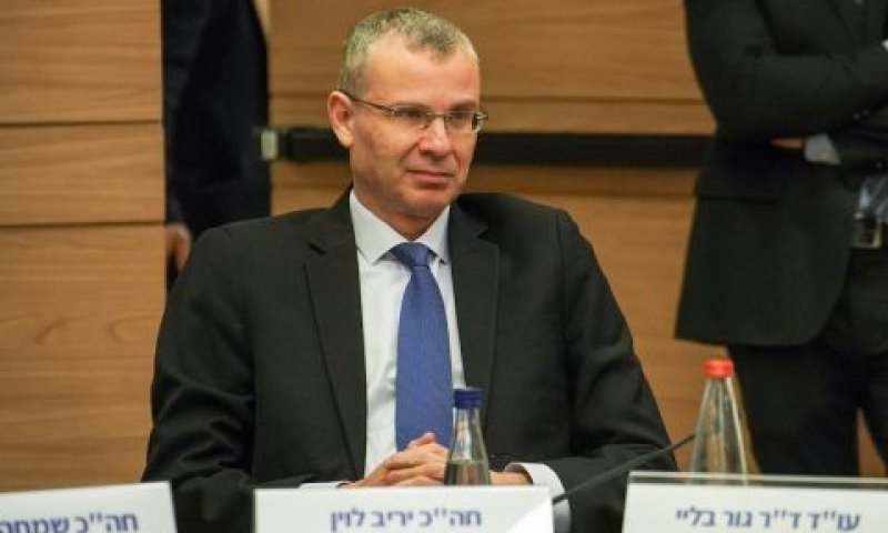 לוין. אין עציצים [צילום: דני שם-טוב/דוברות הכנסת]