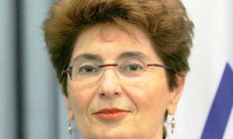 שיצר. דרושות הנחיות [צילום: בוצ'צ'ו]