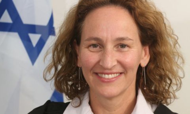 פינק. "כשלים מהותיים וקשים"