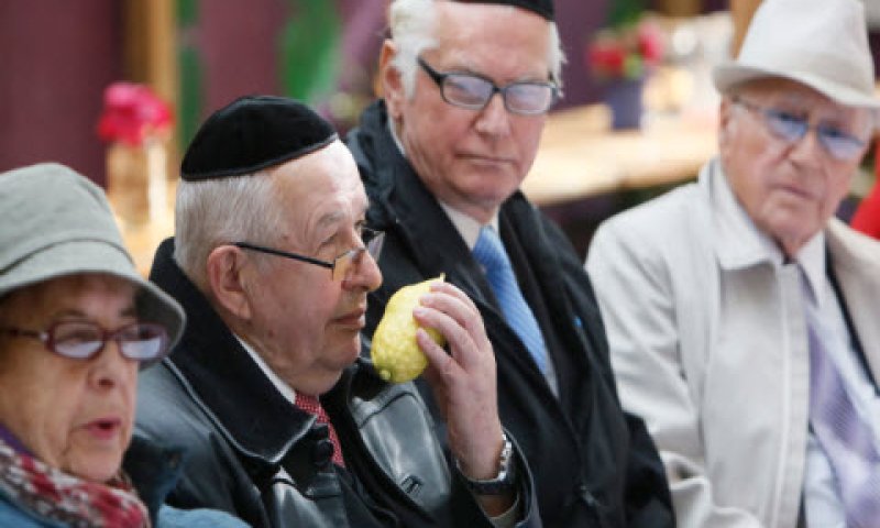 [צילום: פלאש 90]