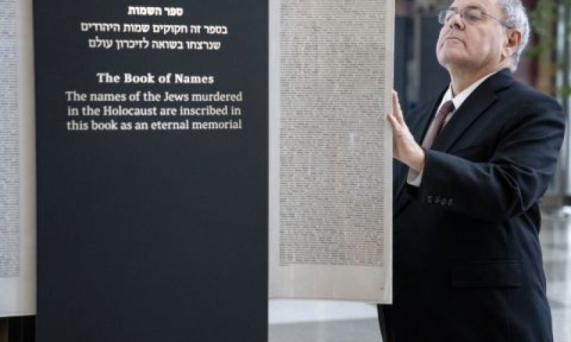 דני דיין [צילום: ג'ון מינצ'ילו/AP]
