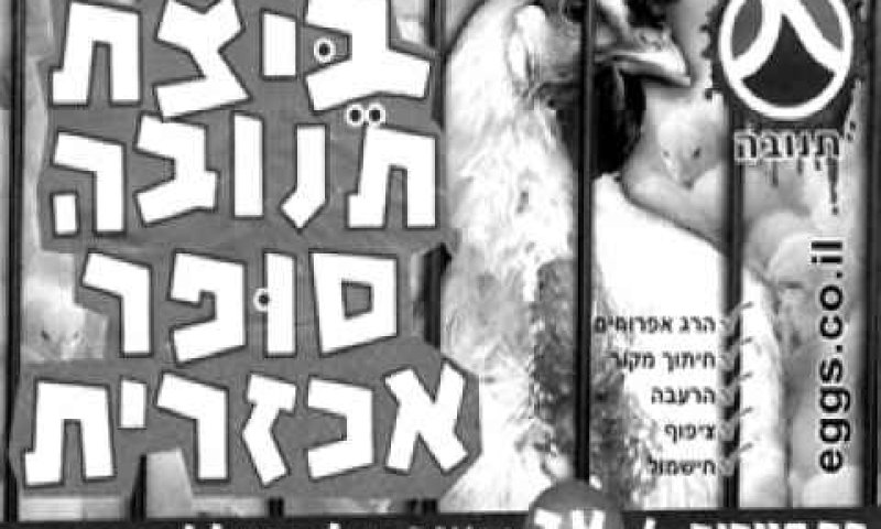 [צילום: אנונימוס]