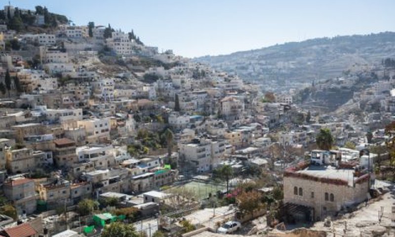 חמישה דונמים בסילוואן [צילום: יונתן זינדל, פלאש 90]