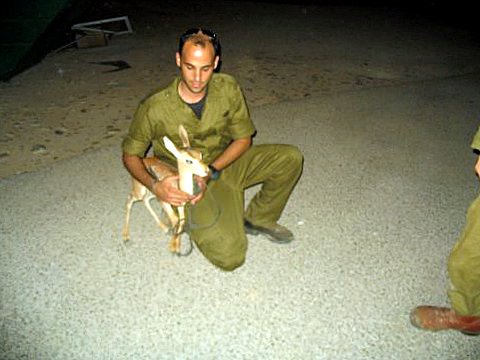 [צילום: אסף קפלן, רשות הטבע והגנים]