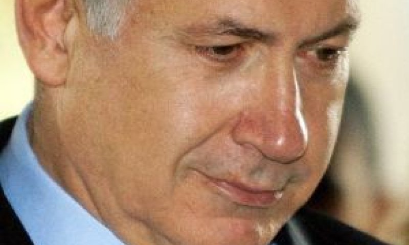 [צילום: AP]