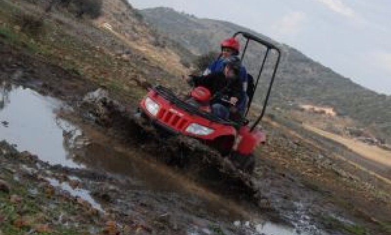 [צילום: חזי זוארץ]