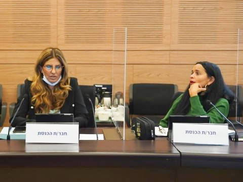 חה"כ פרידמן ומגן תלם [דני שם-טוב/דוברות הכנסת]