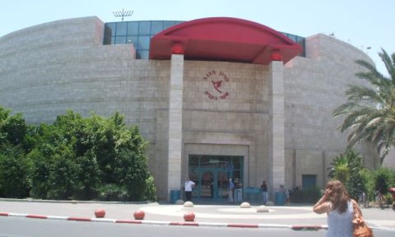 מרדף ליד קניון הנגב