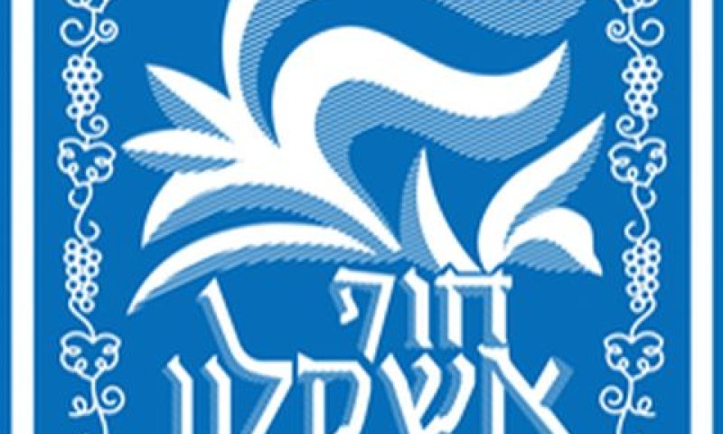 חמישה דונמים בשטח המועצה