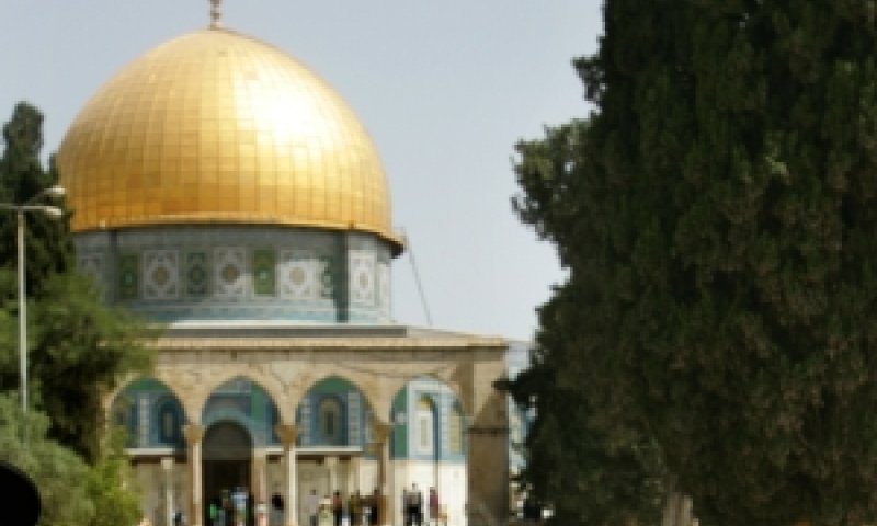 [צילום: AP]