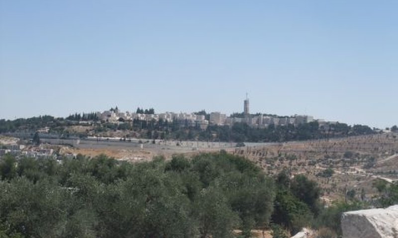 האוניברסיטה העברית. הסדר בגישור