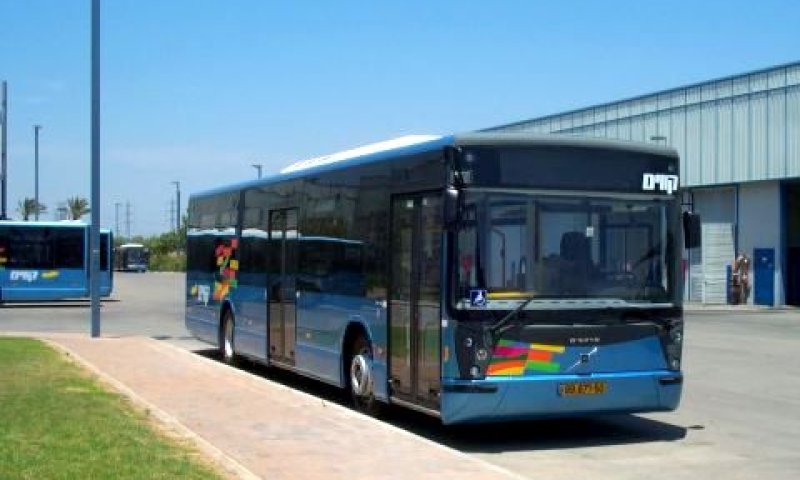 אוטובוס של חברת קווים [צילום: יח"צ]
