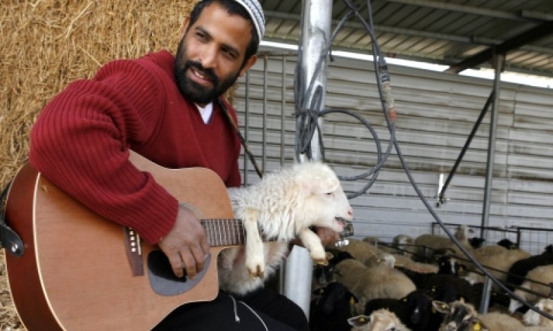 אודי דוידי. יופיע [צילום: פלאש 90]