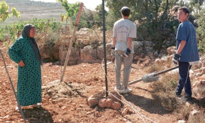 פיצוי זעום או אפסי [צילום: גרג מרינוביץ/AP]