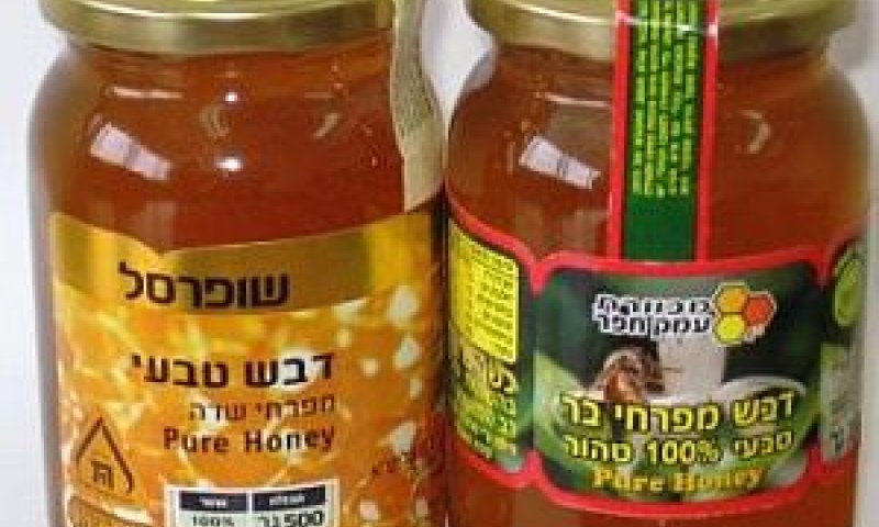 [צילום: יח"צ]