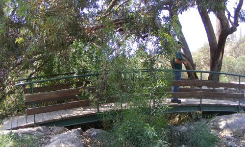 עין תאופיק [צילום: תיירות גולן]