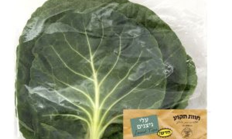לעלי הניצנים מרקם בשרני [צילום: משה אליהו]