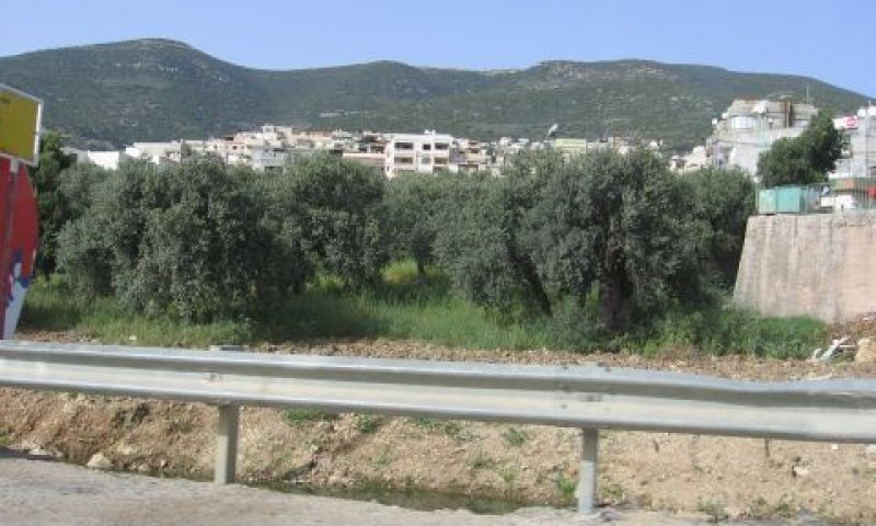 מבט מכביש 85 [צילום: עידן יוסף]