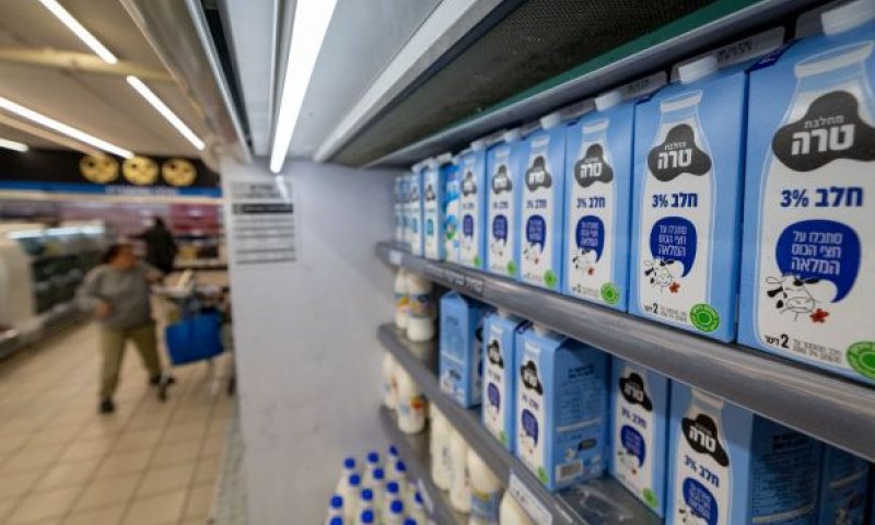 [צילום: יונתן זינדל/פלאש 90]