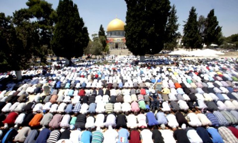 מוסלמים בלבד על ההר [צילום: פלאש 90]