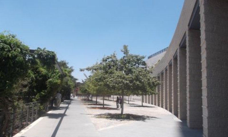 מסעדה בהר חוצבים