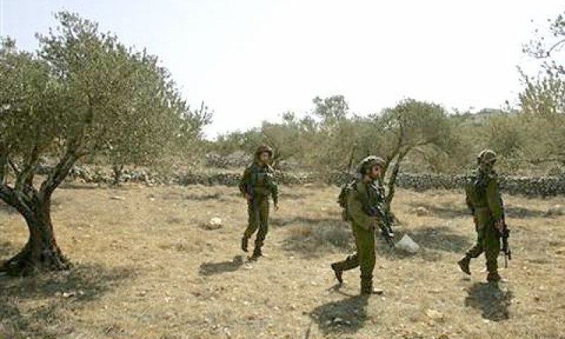 חיילים מאבטחים מסיק זיתים [צילום: AP]