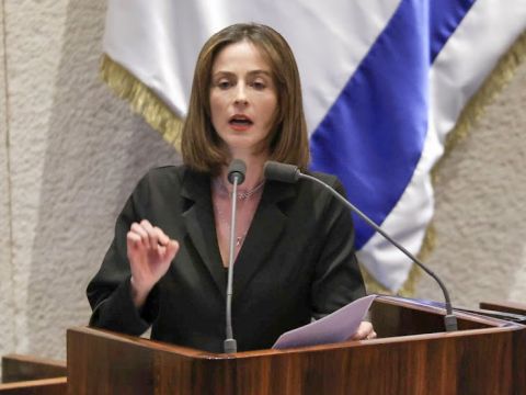 [צילום: דני שם-טוב/דוברות הכנסת]