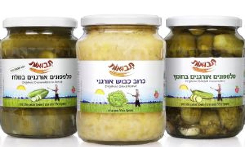 משתלבים בכל ארוחה [צילום: חיים אמזלג]