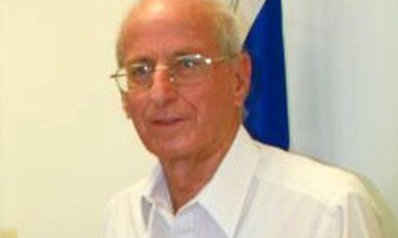 יו"ר הוועדה, אמנון גולדשמידט