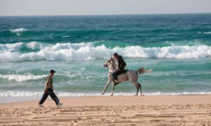 חוף ימה של אשקלון [צילום: פלאש 90]
