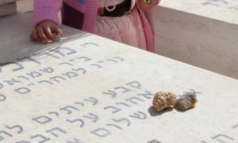[צילום: פלאש 90]