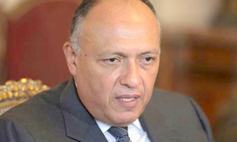 שר החוץ המצרי סמח שוקרי [צילום: AP]