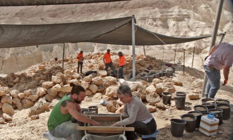 החפירה במדבר יהודה [צילום: אמיל אלג'ם רשות העתיקות]