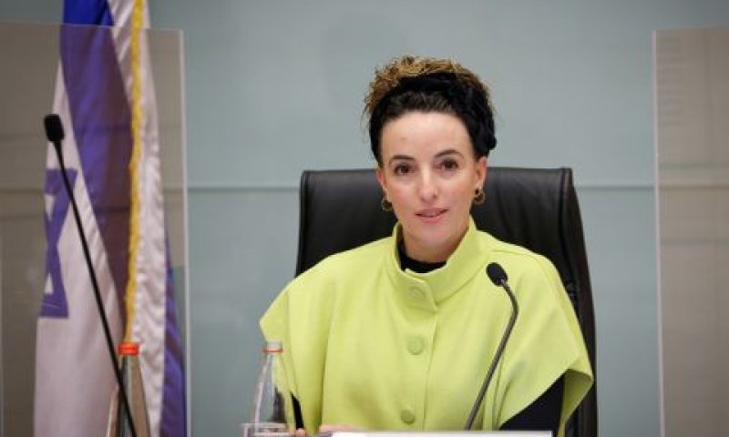 סילמן. תוכל להתמודד? [צילום: נועם מושקוביץ, דוברות הכנסת]