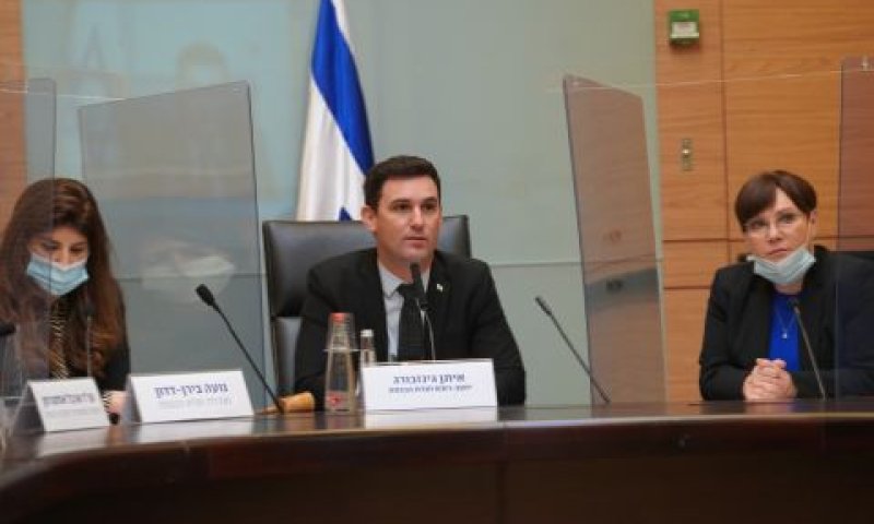 ח"כ גינזבורג בדיון בוועדה [צילום: דני שם-טוב, דוברות הכנסת]