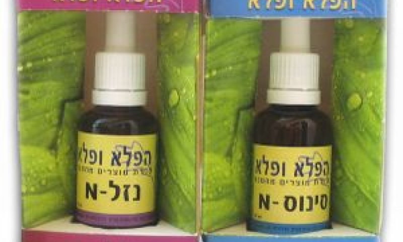 [צילום: יח"צ]