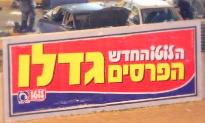 גם תופעת ההתמכרות להימורים תיבחן [צילום: פלאש 90]