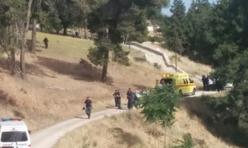 זירת הפיגוע [צילום: קבוצת מדברים תקשורת]