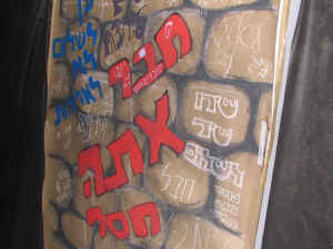 תמונות מהמיצג ב'משגב'