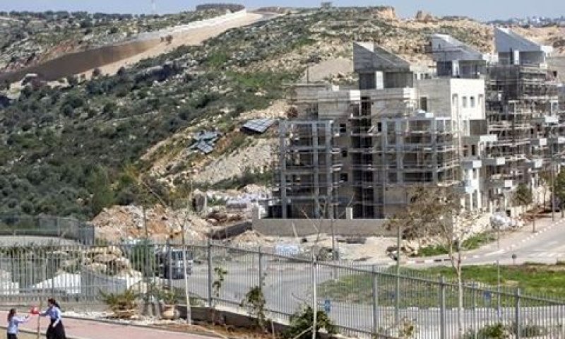 ההר הוליד עכבר [צילום: AP]
