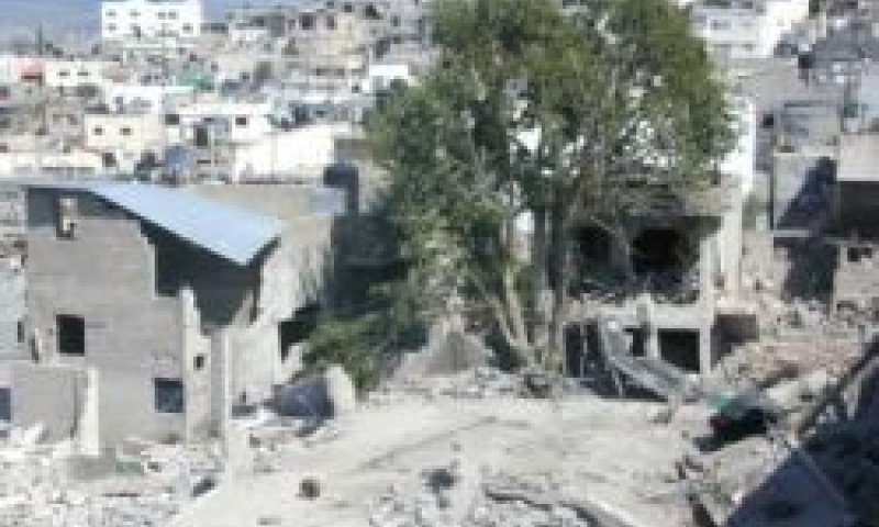 מחנה הפליטים בג'נין [צילום: AP]