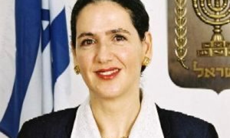 מימון-שעשוע. "מלאכותית ומופרכת" [צילום: בוצ'צ'ו]