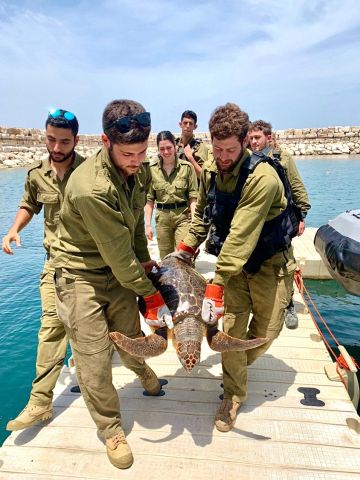 [צילום: מיזם צבא ההגנה לטבע]