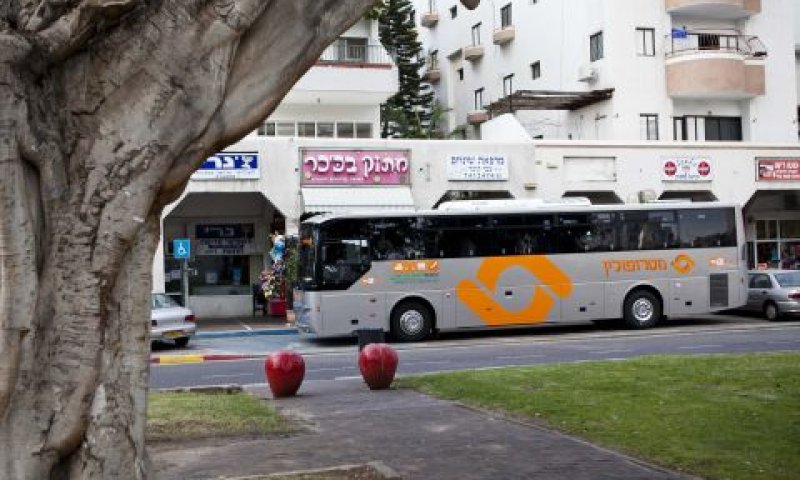 [צילום: עינב רימון]