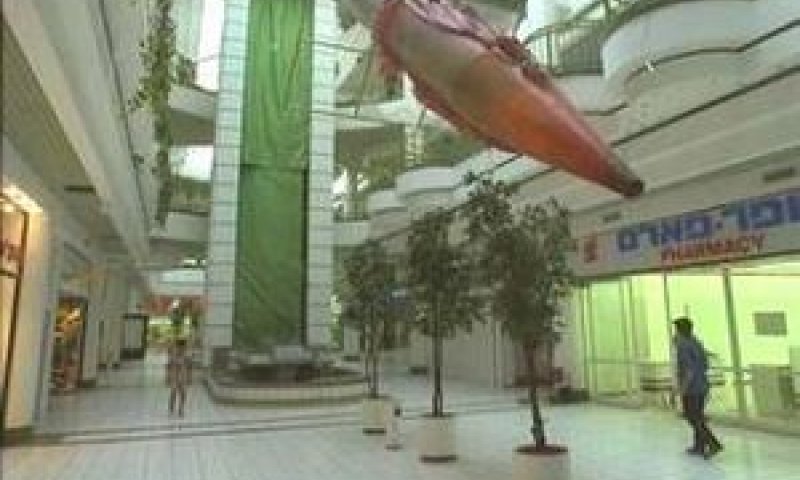 קניון לב המפרץ [צילום: לע"מ]