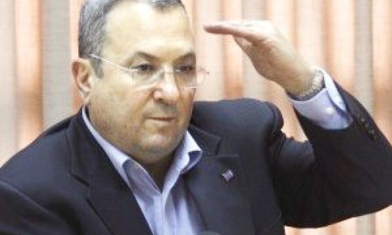 ברק. טיהור [צילום: פלאש 90]