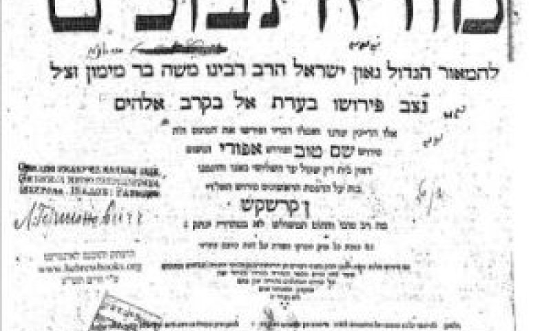 יסודות ההלימות