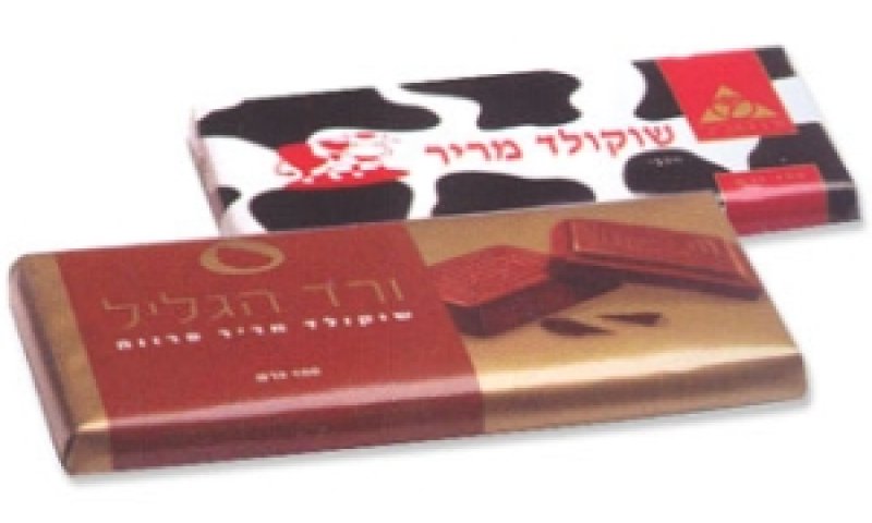 [צילום: יח"צ]