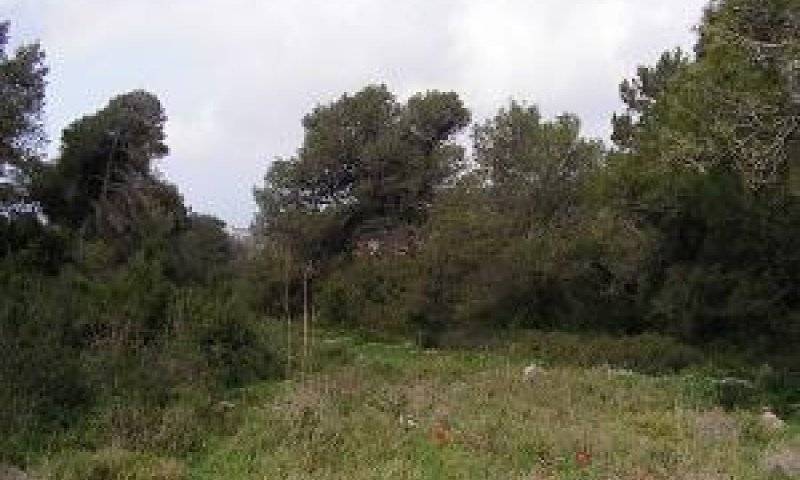 פה יוקמו מגדלים. נחל נדר.(צילום AP)