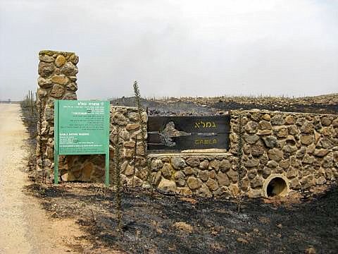 [צילום: אסנת איתן]